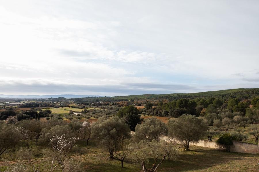 Albons Hotel - Country Boutique Hotel Bagian luar foto